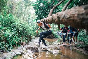 BIB: 
                            <button type="button" onclick="openModal(25374962)" class="btn btn-primary btn-sm float-right btn-popup" data-toggle="modal" data-target=".modal-high-quality">
                        <i class="fas fa-shopping-cart"></i> Add to Cart
                    </button>
                                            <button type="button" onclick="isThisMe(25374962, true)" class="btn btn-success btn-sm float-right btn-popup btn-isme hidden" data-toggle="tooltip" data-placement="bottom" title="นี่คือรูปของคุณใช่ไหม คลิกที่นี่เพื่อเอาเข้าอัลบั้ม">
                        <i class="fas fa-plus"></i> Add to album
                    </button>
                    <button type="button" onclick="isThisMe(25374962, false)" class="btn btn-warning btn-sm float-right btn-popup btn-isnotme hidden">
                        <i class="fas fa-ban"></i> Remove from album
                    </button>